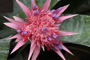 2025-08150137 Tower Hill Botanic Garden, MA